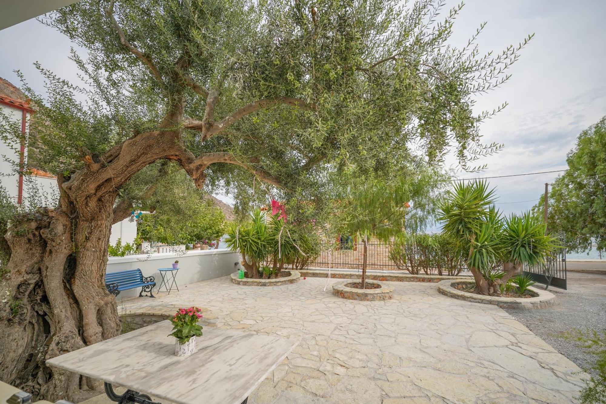 Oasis Studios Ag Pantes Agioi Pandes Exterior photo